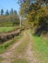S6001310.jpg