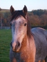 S6001314.jpg