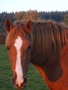 S6001316.jpg