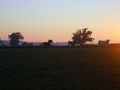 S6001320.jpg