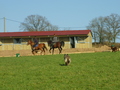 S6001545.jpg