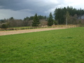 S6001594.jpg