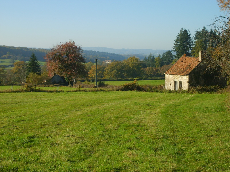 S6001308.jpg