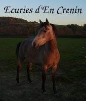 Logo Ecuries d'En Crenin